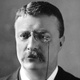 Frases de Teddy Roosevelt