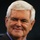 Frases de Newt Gingrich