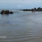 Imagem de Marilisa